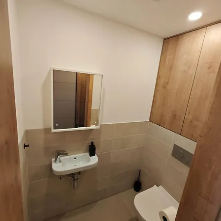 아파트 Kolbenova Comfort